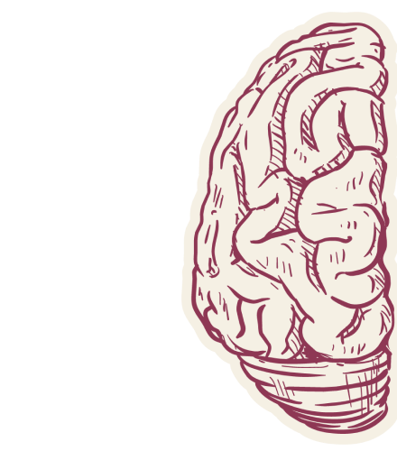 Left Brain Hemisphere