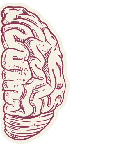 Right Brain Hemisphere