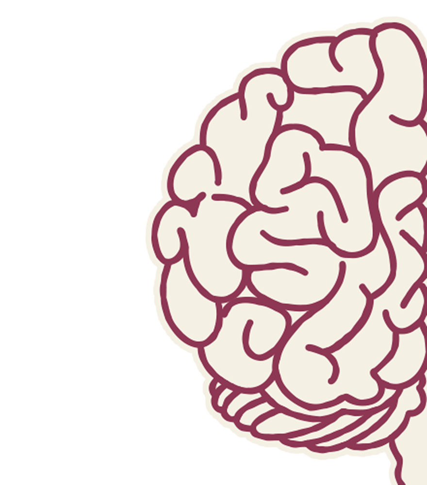 Left Brain Hemisphere