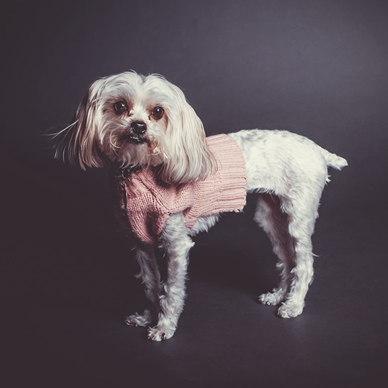 Bailey