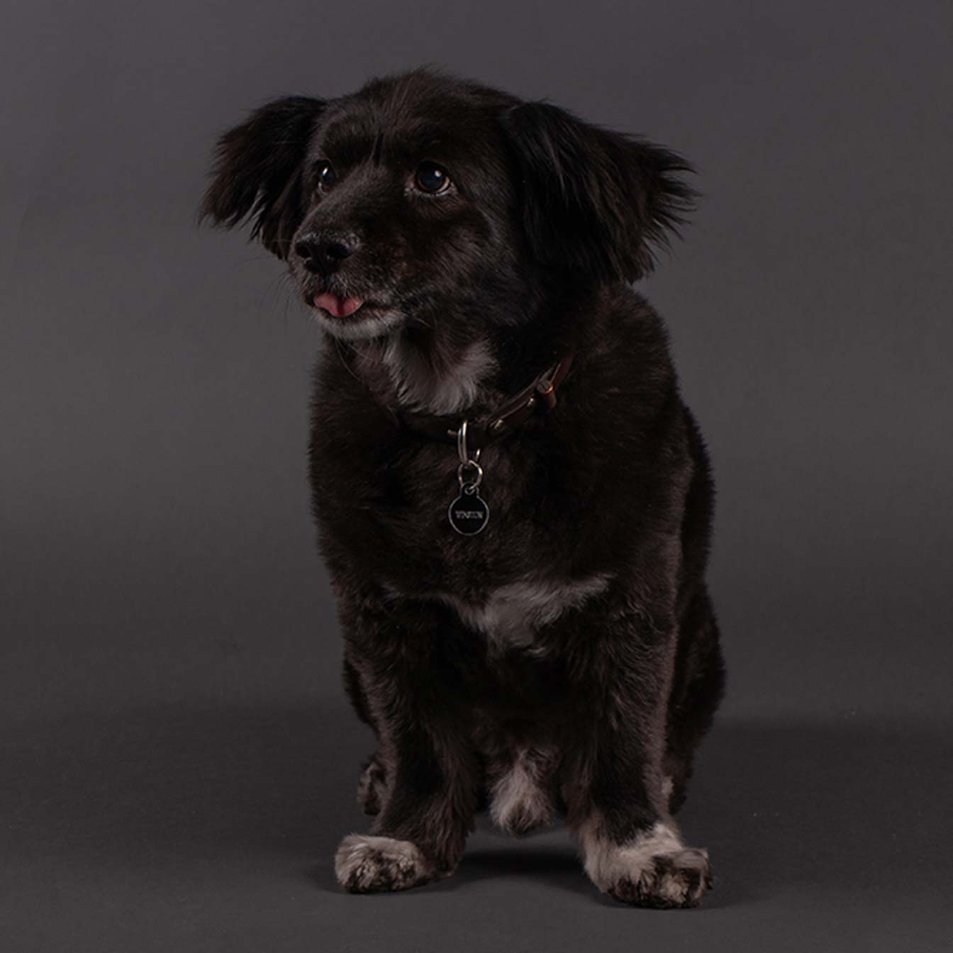 Winston