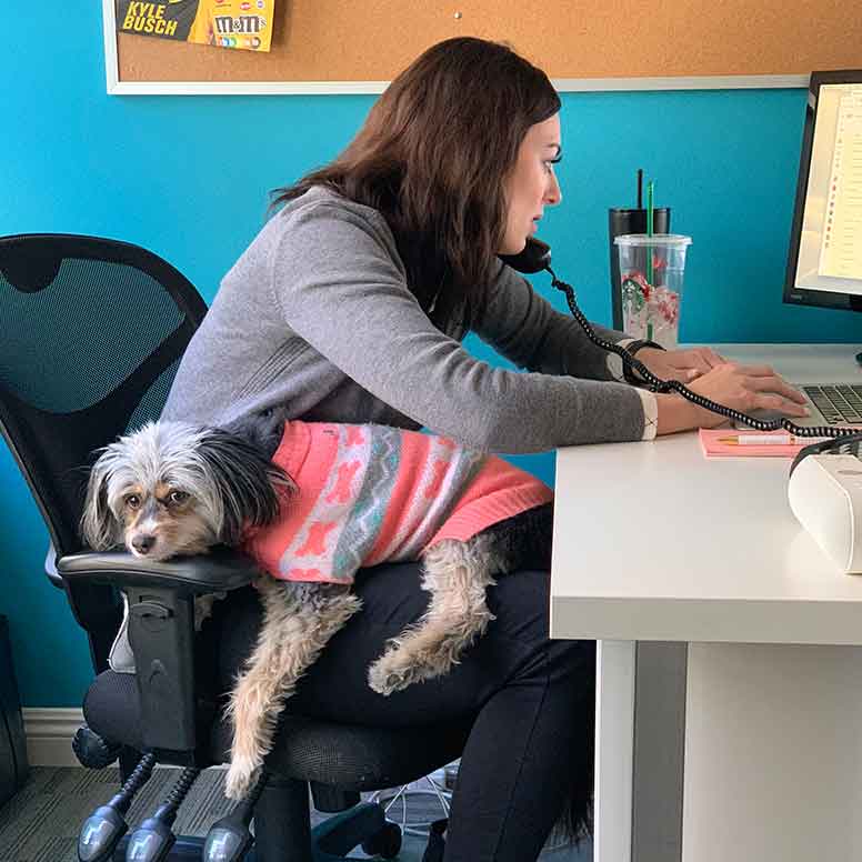 Employee working with dog