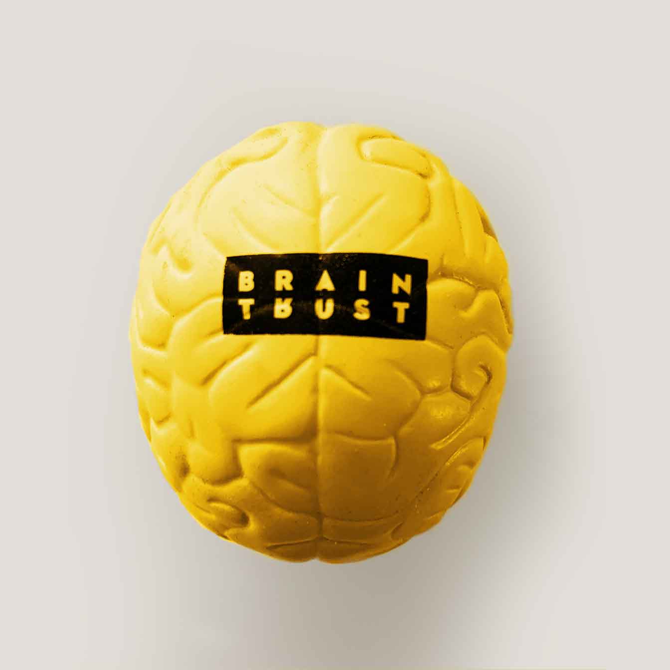 Braintrust Team Member Branded Brain