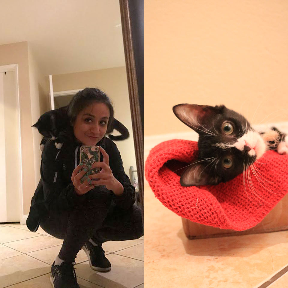 Collage of Fabi and her cat Artemius