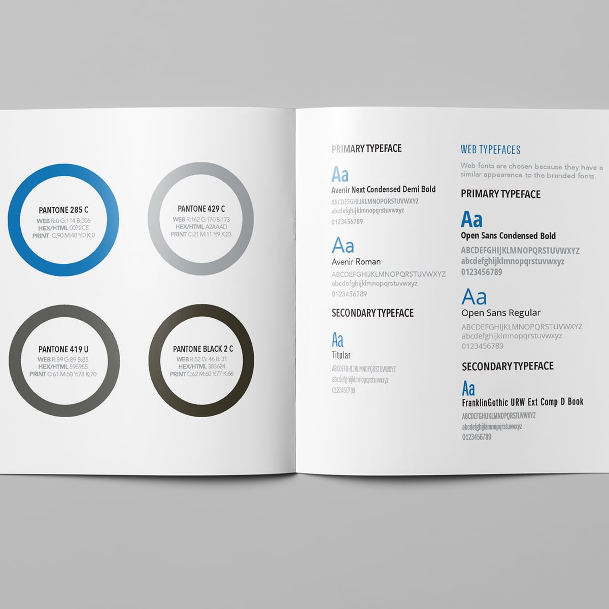 An open booklet shows color swatches on the left and typeface samples with descriptions on the right.