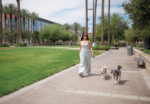 A woman walking two dogs on a paved path through a park.