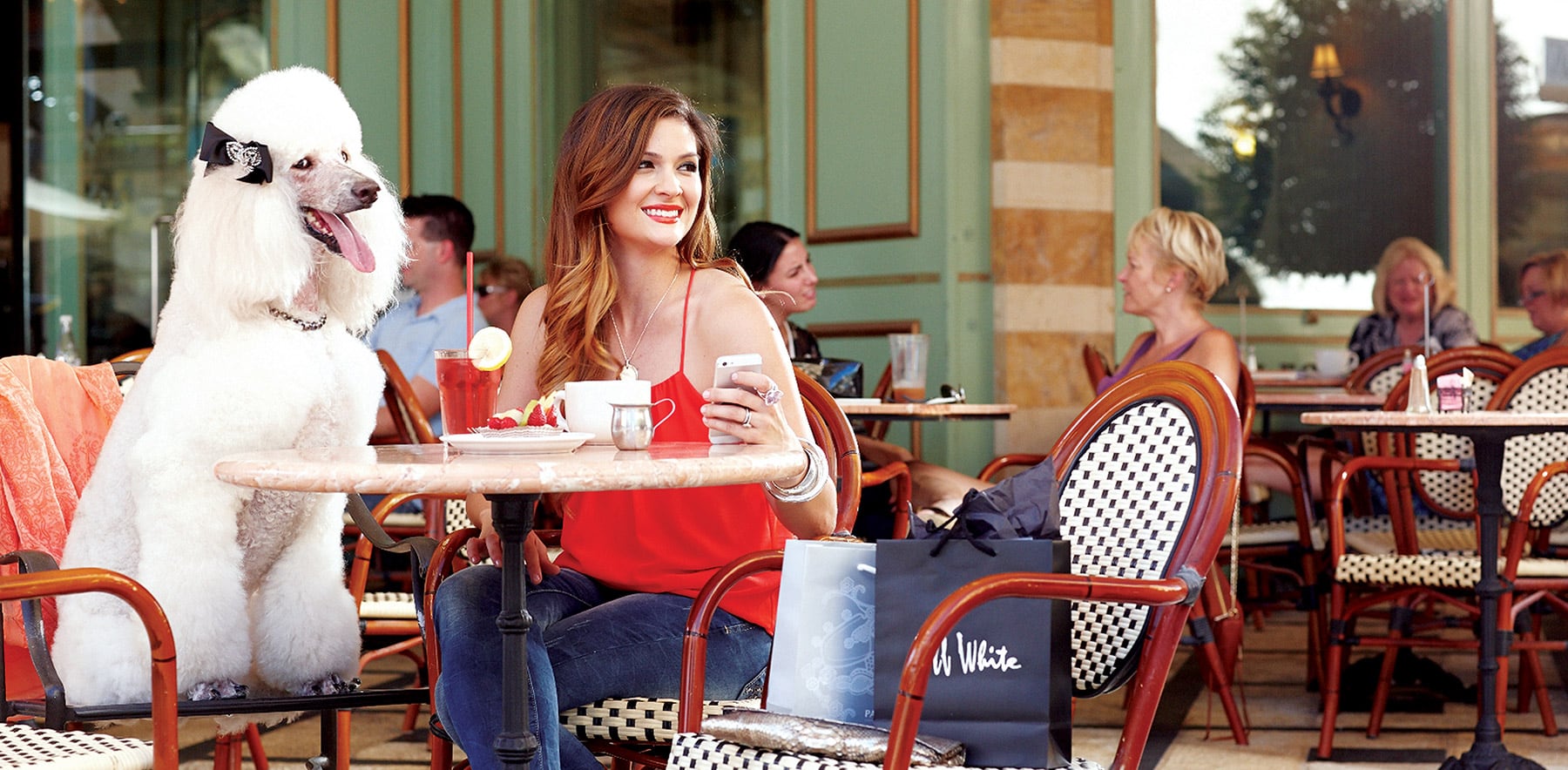 A woman with a drink and phone sits at an outdoor café table with a large white poodle beside her.